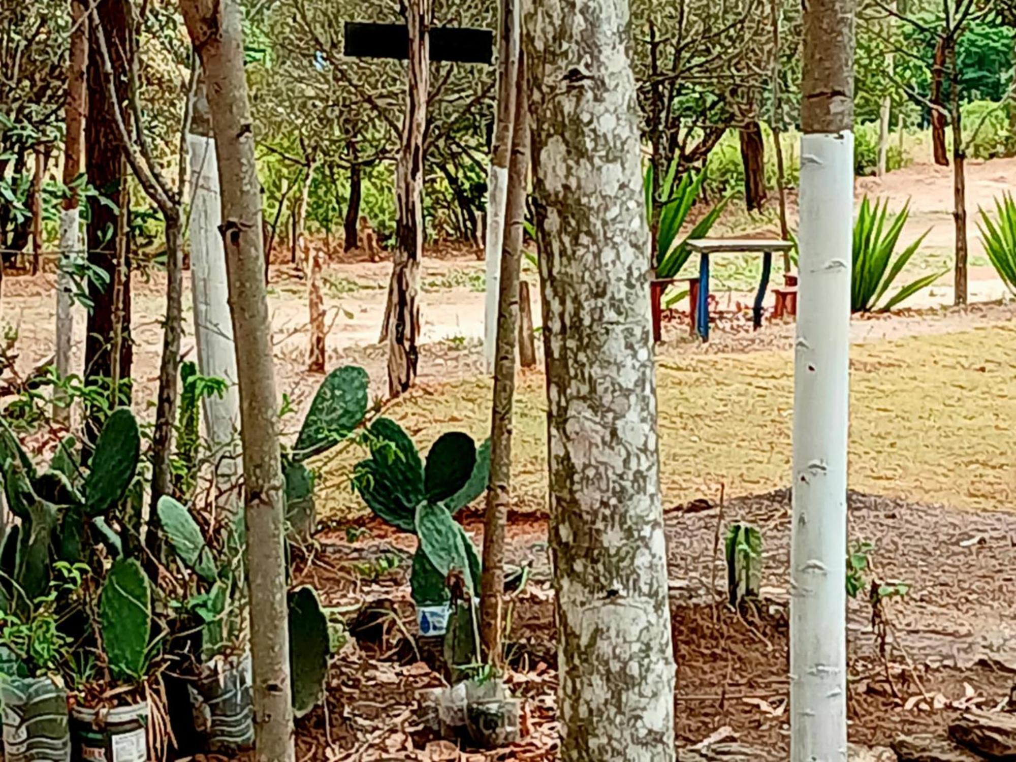 Camping Avohai São Tomé das Letras Exteriér fotografie