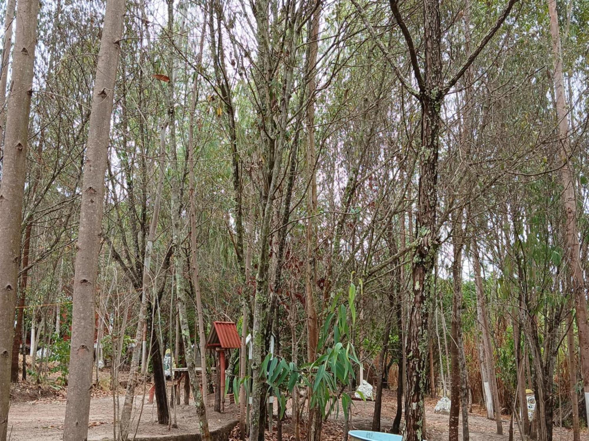 Camping Avohai São Tomé das Letras Exteriér fotografie